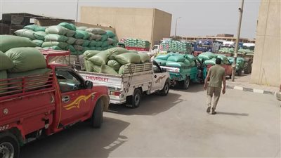 محافظ المنيا: توريد أكثر من 442 ألف طن قمح حتى الآن