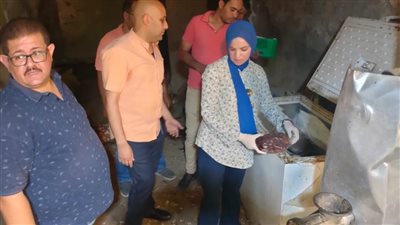 ضبط 5 أطنان دواجن و١٧ كيلو كبدة ولحوم مفرومة فاسدة ببني سويف