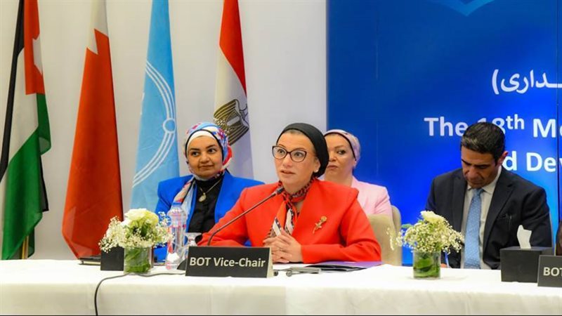 د. ياسمين فؤاد وزيرة