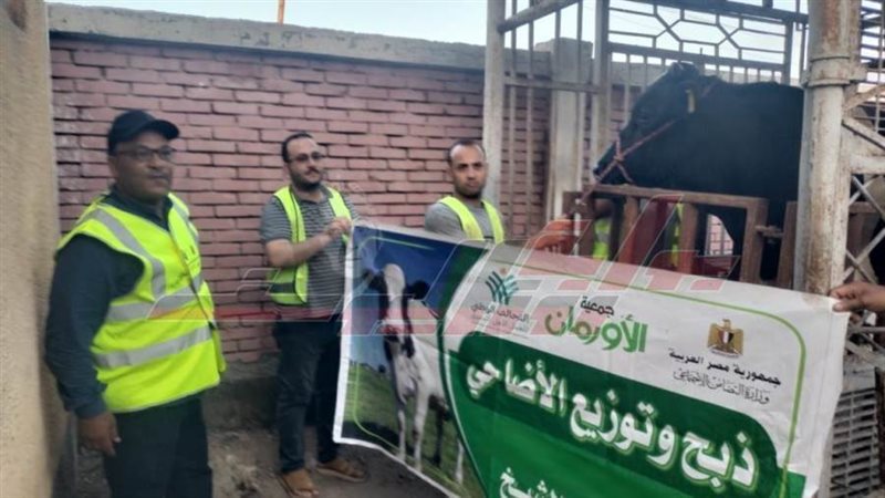 لحوم الأضاحي