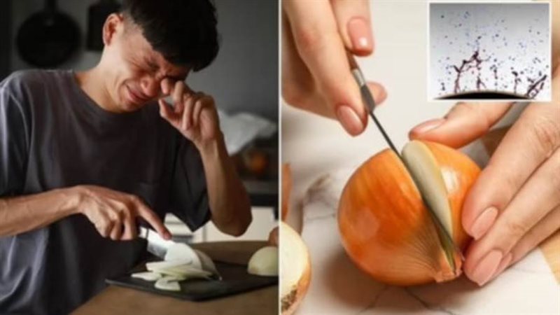تقطيع البصل