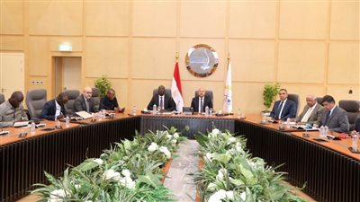  الوزير يبحث آخر مستجدات مشروع الطريق البري مصر /تشاد  