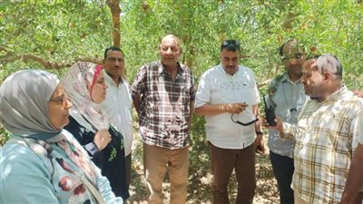 محافظ أسيوط: لقاءات دورية مع مزارعي الرمان لبحث التحديات ودعم الصناعة الزراعية