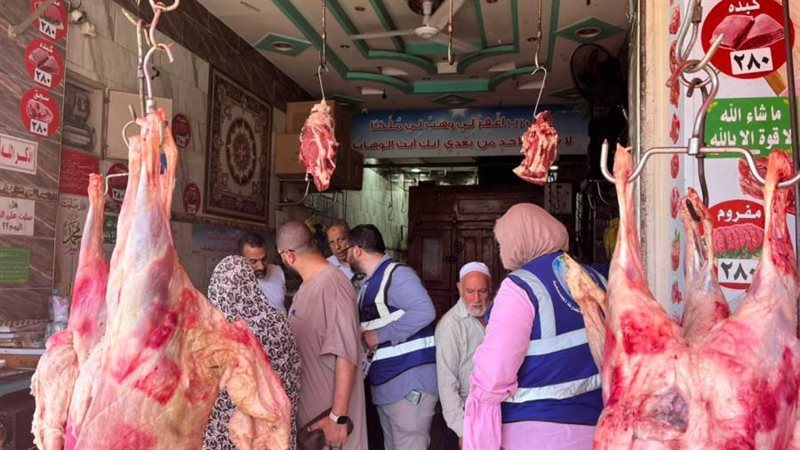 صرف صحي الإسكندرية