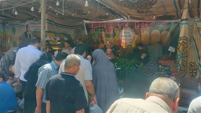 محافظ الدقهلية: استمرار سوق اليوم الواحدة يومي الخميس والجمعة أسبوعيًا