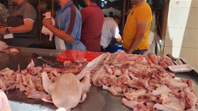 ضبط دواجن مذبوحة خارج المجزر الحكومي بكفر الشيخ