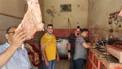 تحرير محضر عدم وجود شهادة صحية بكفر الشيخ