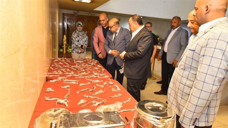 محافظ أسيوط