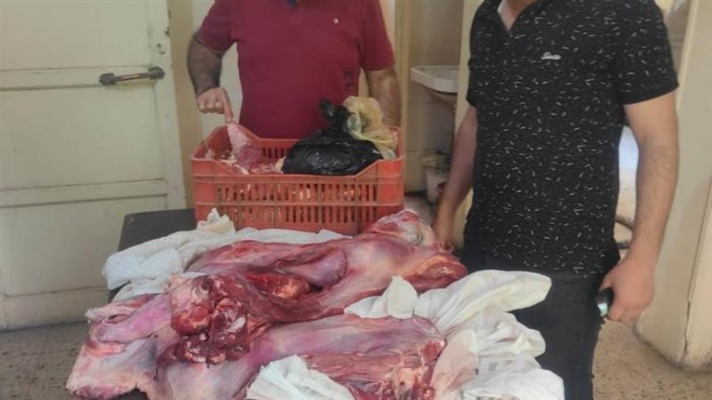 جانب من المضبوطات