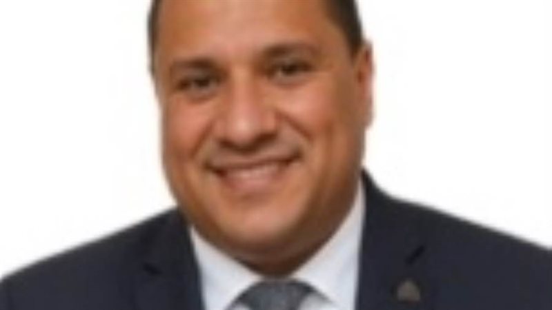 المهندس محمد اسماعيل