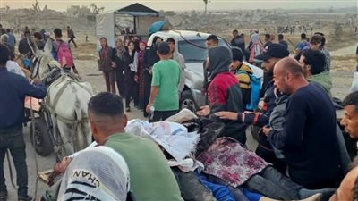 عاجل.. طبيب أسترالي: ضحايا مركز توزيع مساعدات برفح تلقوا رصاصات في الرأس والصدر