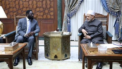 شيخ الأزهر: الشعب الفلسطيني يتعرض لأسوأ إبادة جماعية في ظل تخاذل دولي وضعف أممي