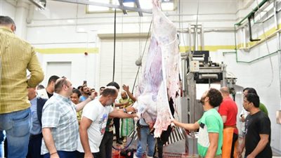 محافظ الدقهلية يفتتح مجزر المنصورة المطور بتكلفة 50 مليون جنيه