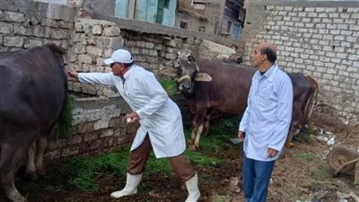 تعرف على استعدادات بيطري البحيرة لاستقبال عيد الأضحى المبارك