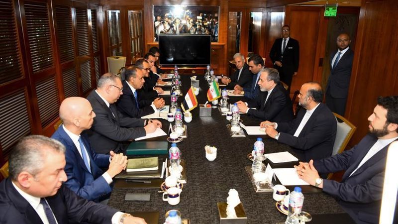 د. بدر عبد العاطي