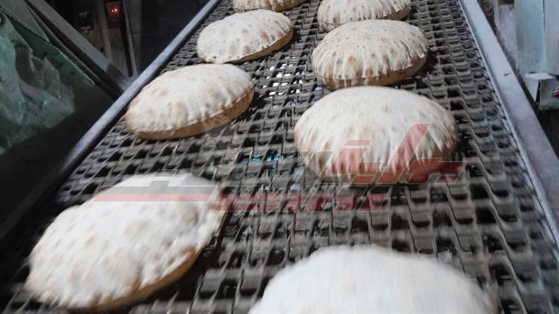 مخابز كفرالشيخ