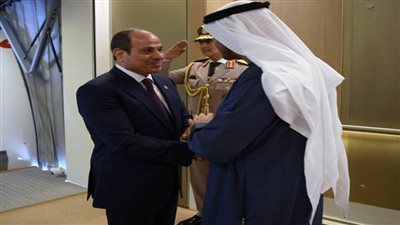 السيسي ومحمد بن زايد يؤكدان أهضمية الوقف الفوري لإطلاق النار في قطاع غزة