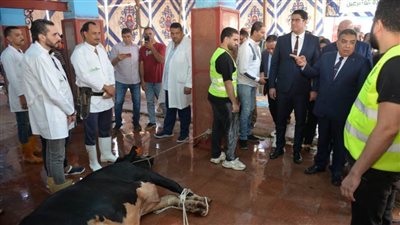 لتوزيعها على الأسر الأولى بالرعاية.. محافظ الدقهلية يشهد ذبح الأضاحي بمجزر طنامل 