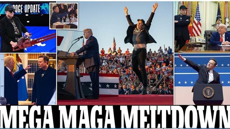 ترامب وماسك