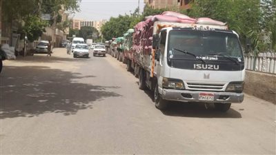 محافظ المنيا: استئناف أعمال توريد القمح وتوريد 502 ألف طن 