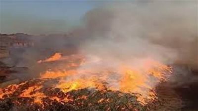 إخماد حريق شونة كتان في شبرا ملس بالغربية