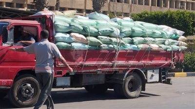 شون وصوامع كفر الشيخ تستقبل 223157 طنًا و75 كيلو قمح محلي