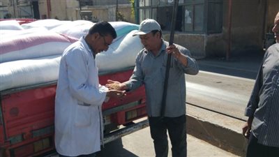 انتظام توريد القمح بالبحيرة بعد عيد الأضحى المبارك 