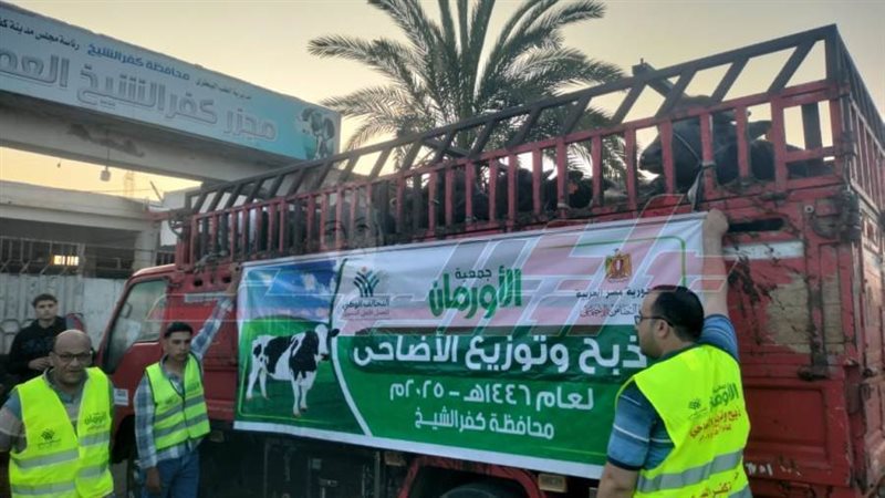 أضاحي الأورمان