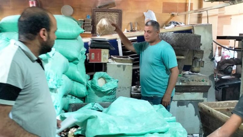 تموين الإسكندرية