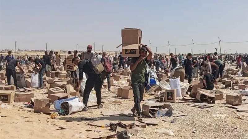 بوابة روز اليوسف