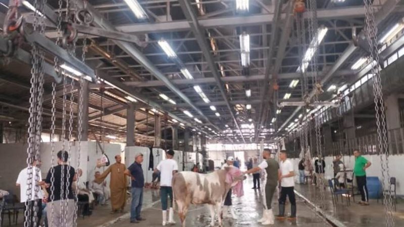 بوابة روز اليوسف