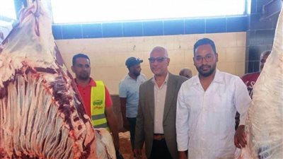  محافظ أسوان: ذبح 3169 رأسًا من الماشية بإشراف بيطري كامل داخل 13 مجزرًا خلال أيام عيد الأضحى المبارك