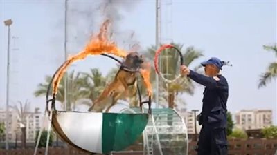 وزارة الداخلية تنظم احتفالية للأطفال ذوي الهمم