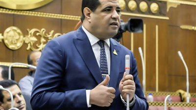 عضو بالشيوخ: بيان وزارة الخارجية قوي ويؤكد ثوابت الدولة المصرية الداعمة للقضية الفلسطينية