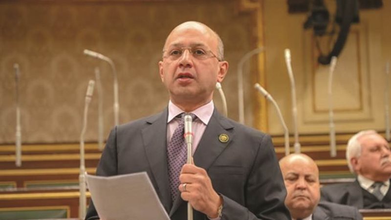 النائب هشام حسين