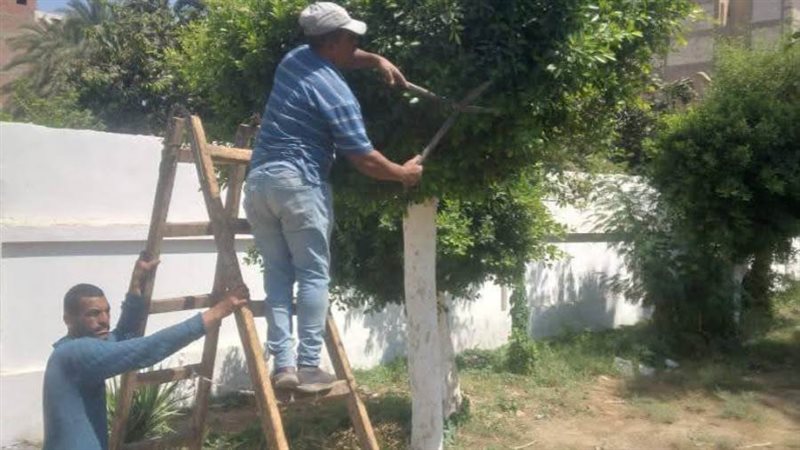 حملات تجميل ونظافة