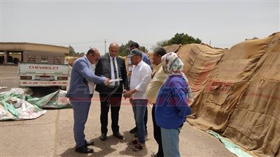 توريد 224885 طنا و321 كيلو قمح محلي بكفر الشيخ 