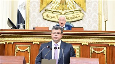 رئيس اقتصادية النواب: تواجد الدولة في النشاط الاقتصادي لا يعتبر هدفًا في حد ذاته ويستهدف تحقيق غايات اجتماعية