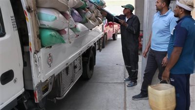 توريد أكثر من 310 آلاف طن قمح بالبحيرة