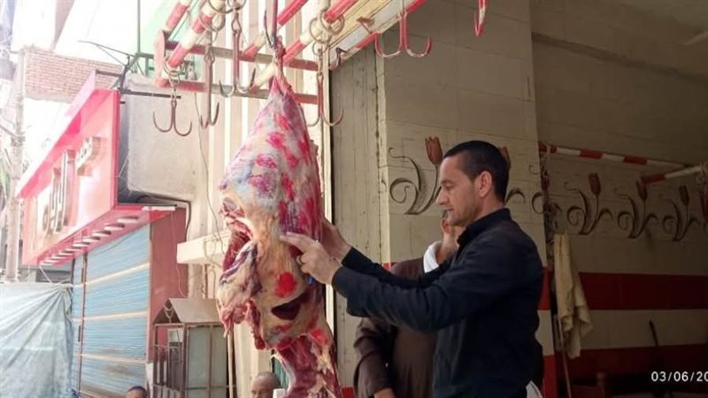 حملات تموينية متنوعة