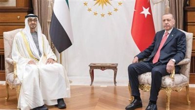 رئيسا الإمارات وتركيا يؤكدان ضرورة تكثيف الجهود لخفض التصعيد والعودة للحوار