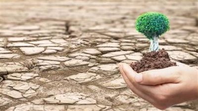 كيف يؤثر التصحر على حياة البشر.. وزيرة البيئة تكشف التفاصيل (فيديو)