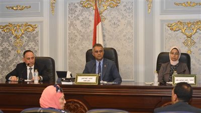 تضامن البرلمان تناقش مشكلات تكافل وكرامة