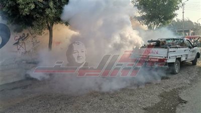 إطلاق حملات رش لمكافحة البعوض في كفر الشيخ 
