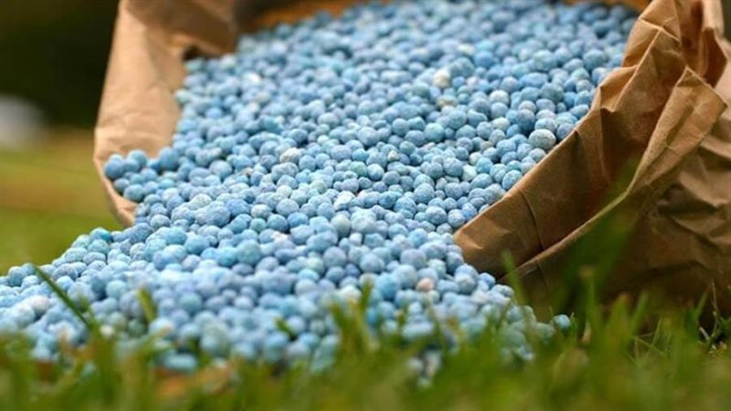 المقررات السمادية