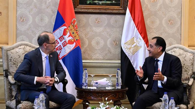 رئيس الوزراء يستقبل