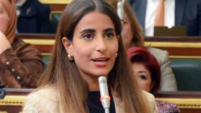 برلمانيون: بيان الـ21 دولة يؤكد وحدة الموقف العربي والإسلامي من الاعتداءات الإسرائيلية 