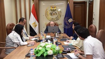 هيئتا الدواء المصرية والزامبية يبحثان تفعيل مذكرة التفاهم وتنفيذ آلية التعاون التنظيمي القاري