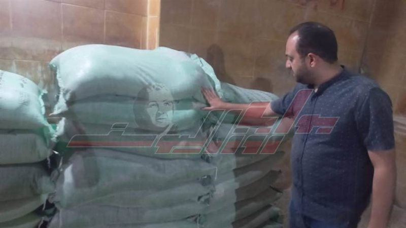 الحملات المبكرة