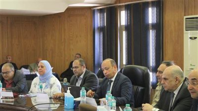 قصر العيني يطلق خطة متكاملة لتطوير مناهج البكالوريوس